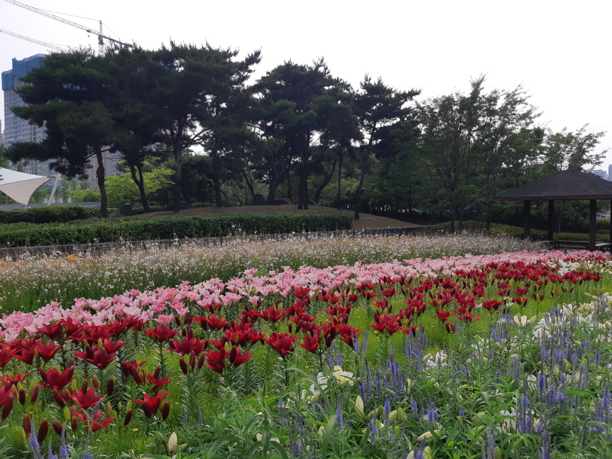 김포 걸포중앙공원