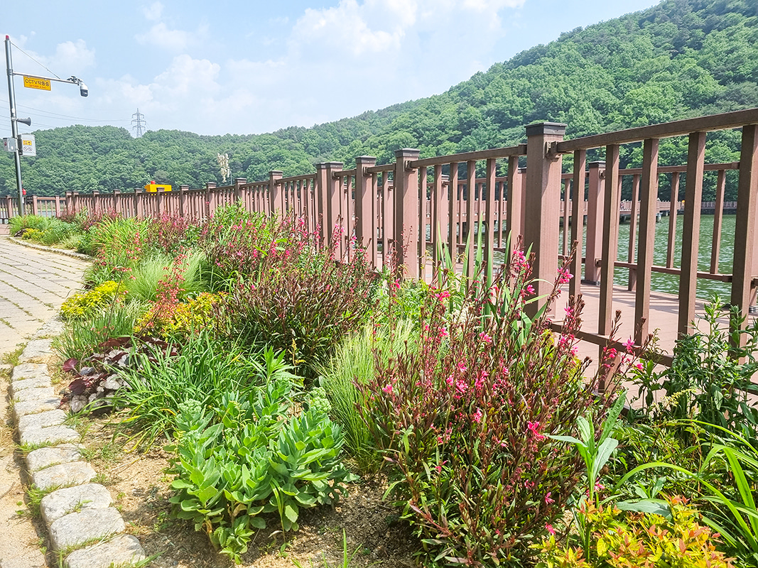 군포-반월호수공원 (2023-05)